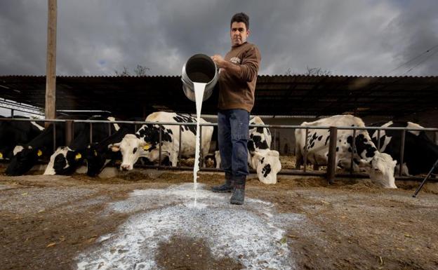 Por qué la leche ha subido 27 céntimos por litro y la razón por la que no dejará de hacerlo