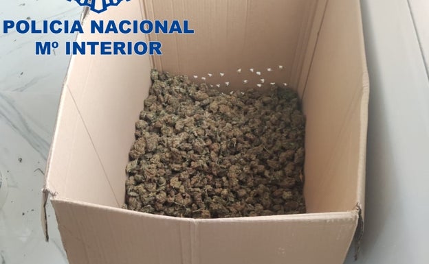 La Policía desmantela un secadero con 7.200 gramos de marihuana en Algemesí
