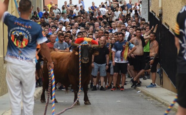 El bou en corda de Turís se exhibirá en el mayor evento taurino de esta modalidad a nivel nacional