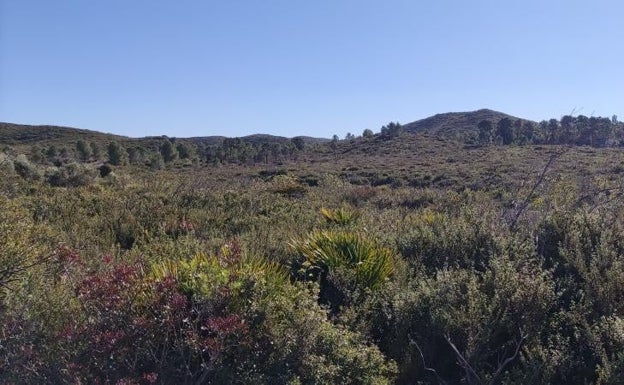 Ruta senderista por las áreas de Carcaixent susceptibles de convertirse en parques solares