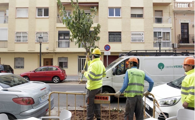 La campaña de plantación dejará 1.300 alcorques vacíos en Valencia