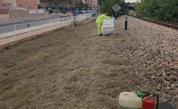 Una plaga de ratas junto a las vías de Xirivella obliga a limpiar la vegetación de la zona