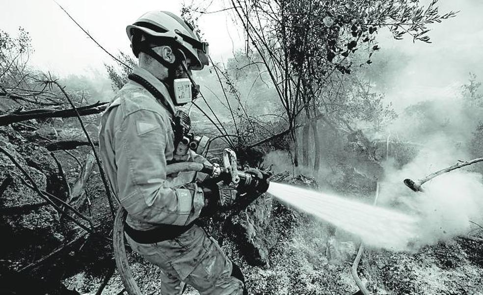 Secuelas tras los incendios