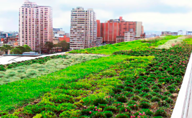 Gandia repartirá 100.000 euros para la instalación de azoteas verdes en los edificios