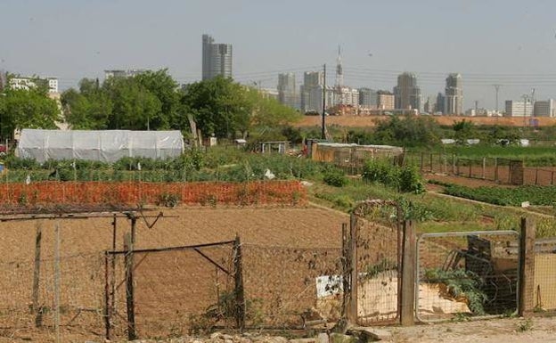 Entidades vecinales y ecologistas se oponen al acceso norte a Mislata por la huerta de Campanar-Benimàmet