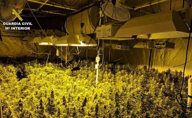 Así era la sofisticada instalación dedicada al cultivo de marihuana de una vivienda en Aigües