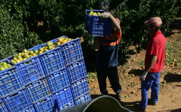 La Ribera baja de los 18.000 parados