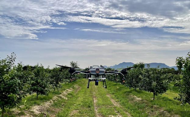 La startup valenciana que eleva el futuro de la agricultura