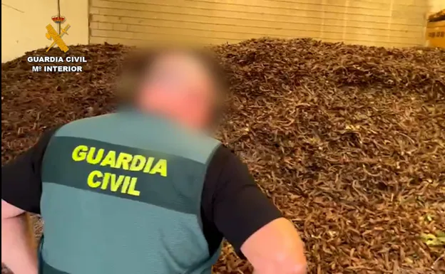 Detenidas tres personas en Valencia y Castellón por el robo de 75 toneladas de algarrobas