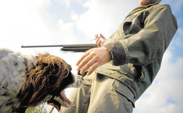 La Ley de Bienestar Animal reconoce el papel social de los perros guía y de caza