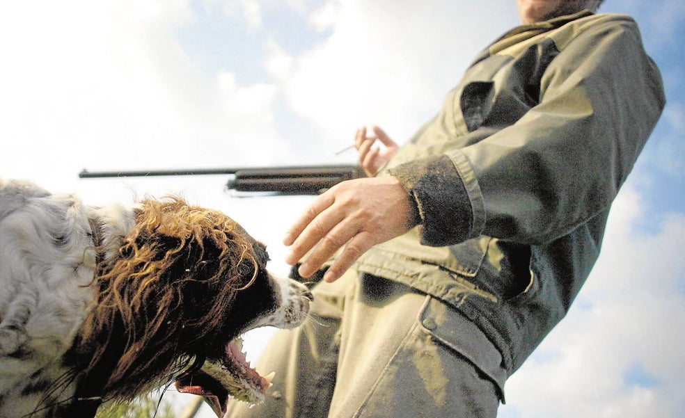 La ley de Bienestar Animal reconoce la función social de los perros guía y de caza