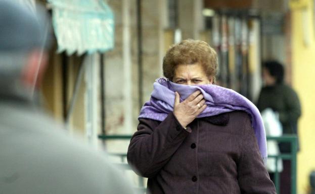 Cuál es la diferencia entre bronquitis y bronquiolitis: síntomas y tratamiento