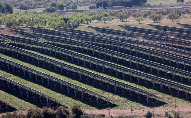 Jarro de agua fría al Consell: la Comunitat Valenciana no logrará los objetivos de renovables para 2030