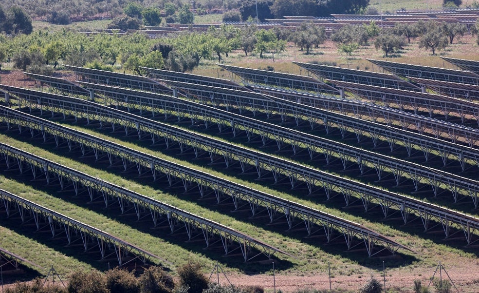 Jarro de agua fría al Consell: la Comunitat Valenciana no logrará los objetivos de renovables para 2030
