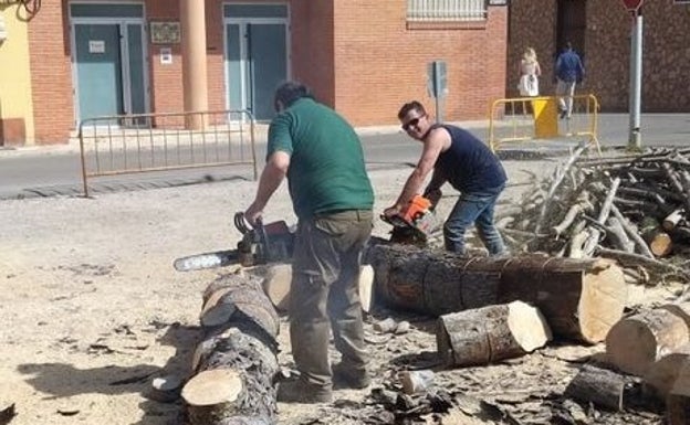 Conmoción en Canals y l'Alcúdia de Crespins por la muerte de 'El Pesaor' tras precipitarse mientras talaba un pino en Xàtiva
