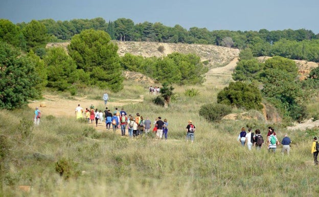 Paterna recurre en los tribunales el Plan de Ordenación del Turia que protege Les Moles