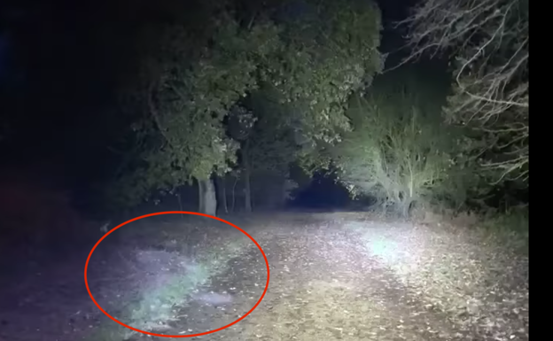 Una pareja graba a una figura demoníaca en un bosque encantado y se hace viral