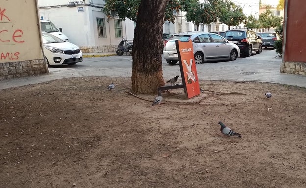 Xàtiva lucha contra las palomas