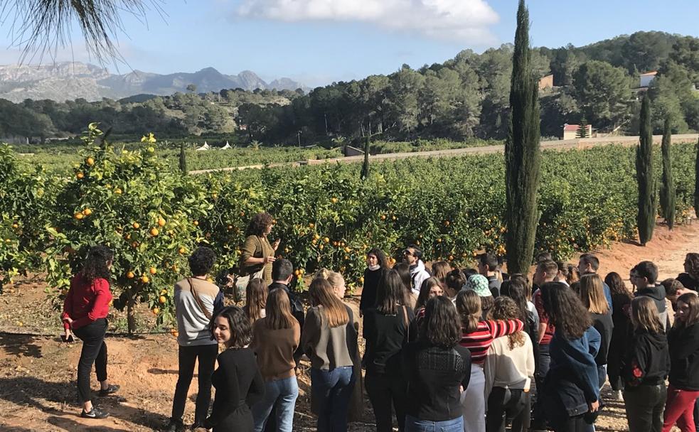 El atractivo turístico de la naranja