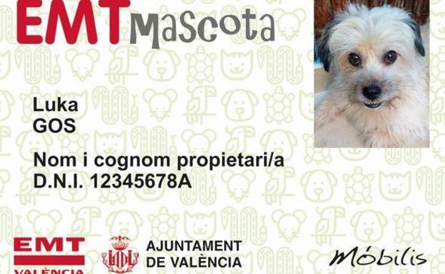 Qué mascotas pueden viajar en los autobuses de la EMT de Valencia y cuánto cuesta