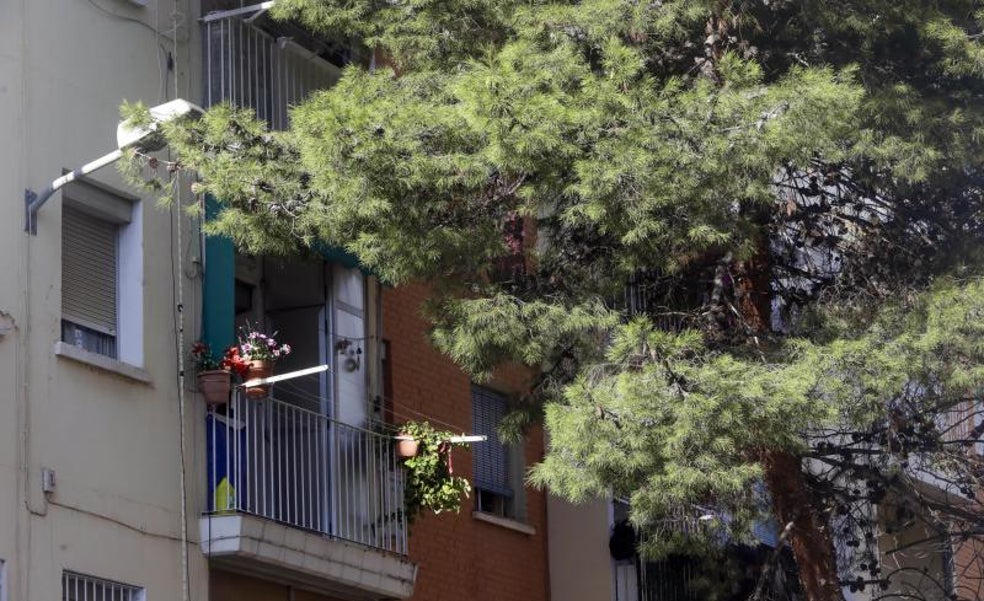 Los 14 distritos de Valencia donde se ven más ratas que hace un año