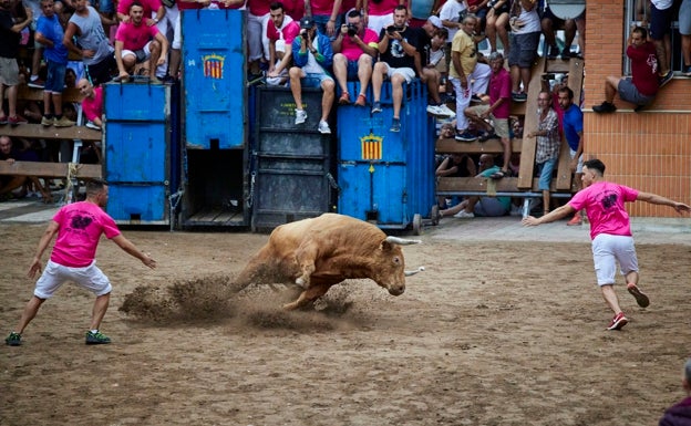 Los bous esperan un récord de festejos en los próximos años tras el decreto que blinda los seguros