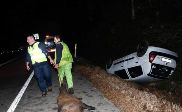 Un motorista resulta herido al chocar con un jabalí en Guadassuar