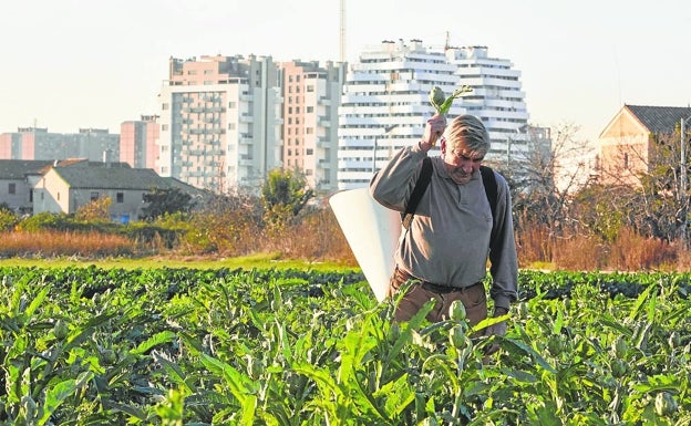 El campo valenciano pierde 800 millones en 2022 por la subida de costes