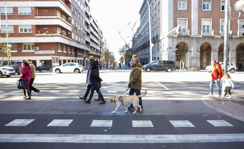 Así se entrena Wasa, un perro guía