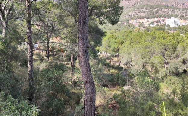 Vecinos de Gilet piden un estudio previo a la instalación de una antena de telecomunicaciones a 40 metros de sus viviendas