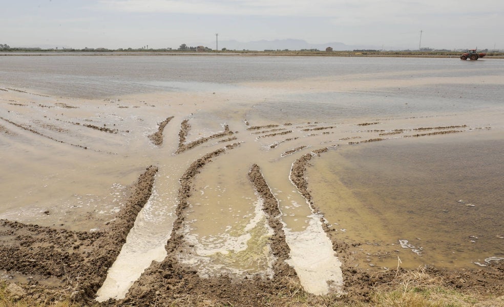 Compromís cuela en el plan de protección de la Albufera la prohibición de ampliar el Puerto