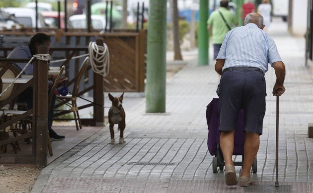 La soledad de los mayores va a más en Valencia