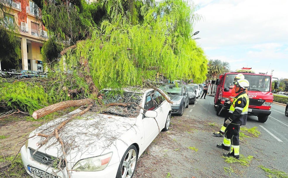 Las quejas van por barrios en Valencia