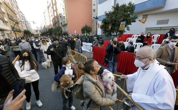 Las mascotas tienen una cita en la calle Sagunto de Valencia