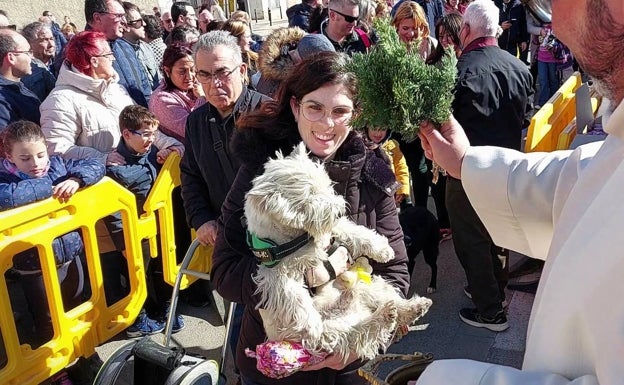 La bendición de animales virtual se cuela en la celebración de San Antonio en Quart de Poblet