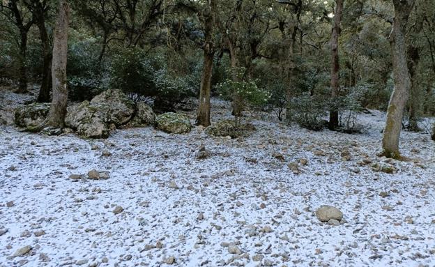 Dónde ha nevado este miércoles 18 de enero en la Comunitat Valenciana