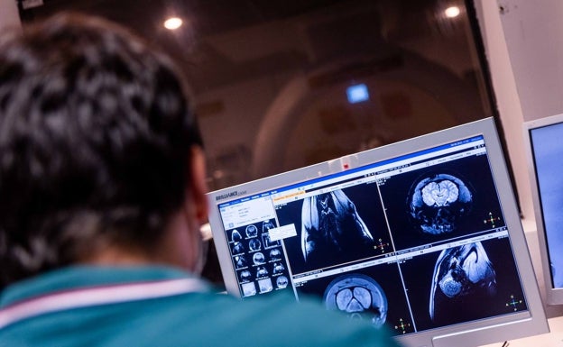 La Fe alberga el principal centro de datos e imágenes médicas para el tratamiento del cáncer