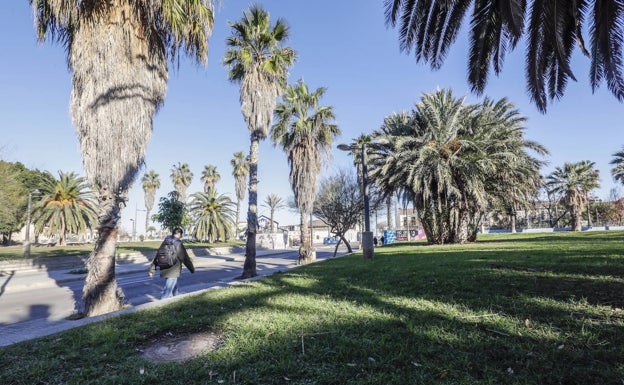 Desconvocan la huelga de jardineros en Valencia al pactar un aumento del 17% en las nóminas