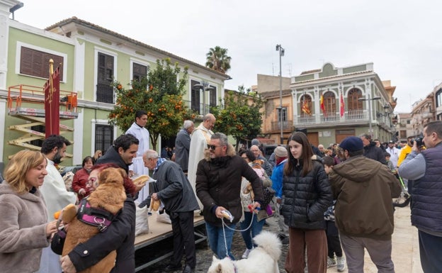 Más de 1.000 animales reciben la bendición de San Antonio en Albal y Paterna