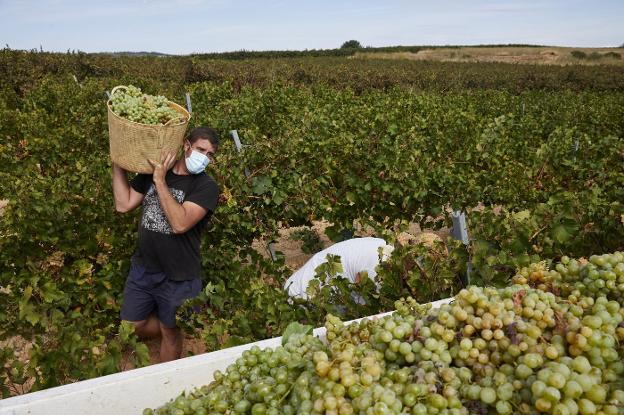 La PAC se mantiene como el gran reto de las agroalimentarias en 2023