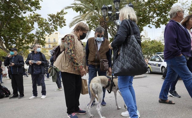 Un error del Botánico bloquea la ley de Bienestar Animal en Les Corts