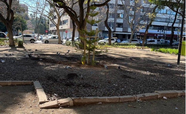 El abandono también se ceba con el jardín de Blasco Ibáñez en Valencia