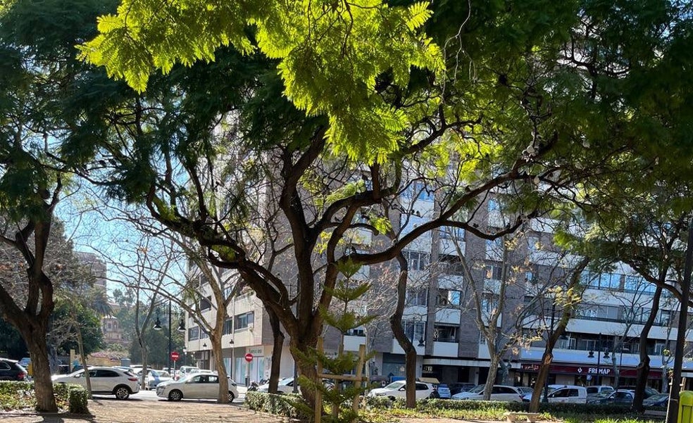 El abandono también se ceba con el jardín de Blasco Ibáñez en Valencia