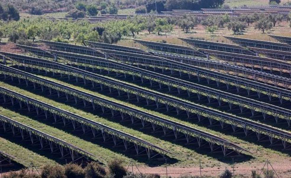 La nueva planta solar de Alicante que generará 500 empleos
