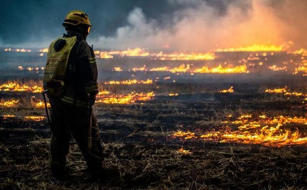 Las altas temperaturas alimentan una oleada de incendios que Chile es incapaz de sofocar