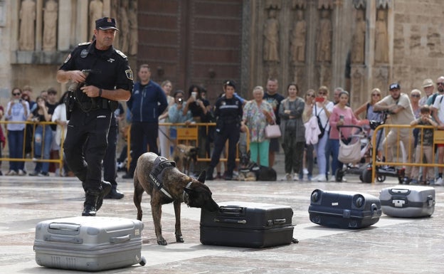 Abogados valencianos rechazan la ley de Bienestar Animal española