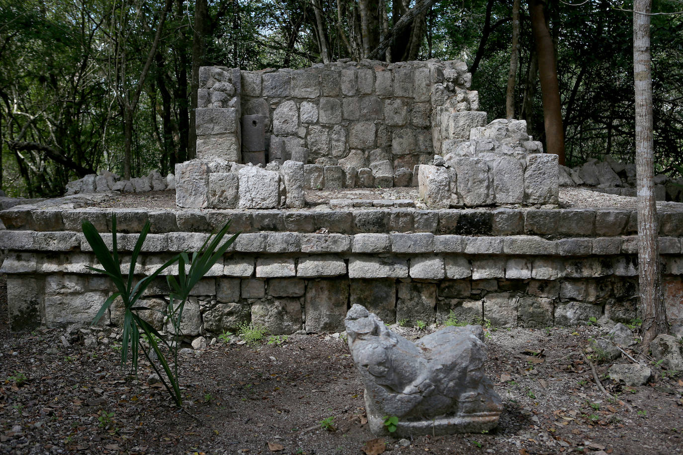 Fascinante descubrimiento maya: encuentran la tumba de un personaje de la élite