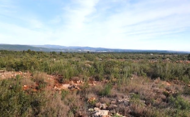 Ofensiva de La Canal Verde para paralizar la planta fotovoltaica reactivada en la montaña de Bolbaite