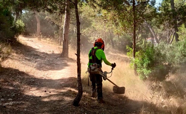 La brigada forestal de Torrent realiza trabajos de poda, desbroce y tala en caminos de El Vedat y la Serra Perenxisa