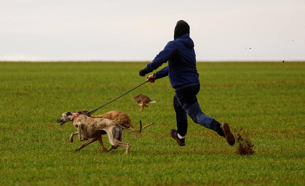 La ley de bienestar animal valenciana avanza pese a los avisos de cazadores y oposición